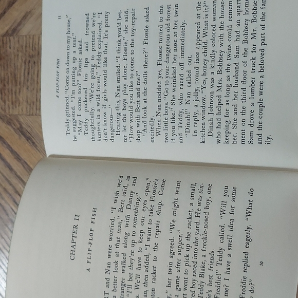 The Bobbsey Twins' Forest Adventure - Picture 10 of 12